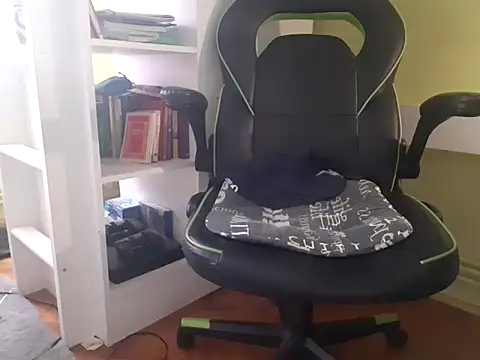feathersify webcam