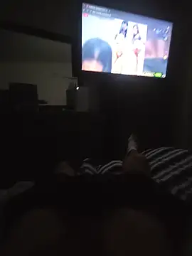 Bossjr8051 webcam