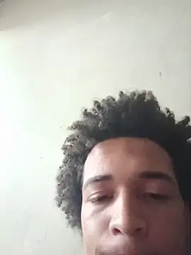 TheRiseOfDick webcam
