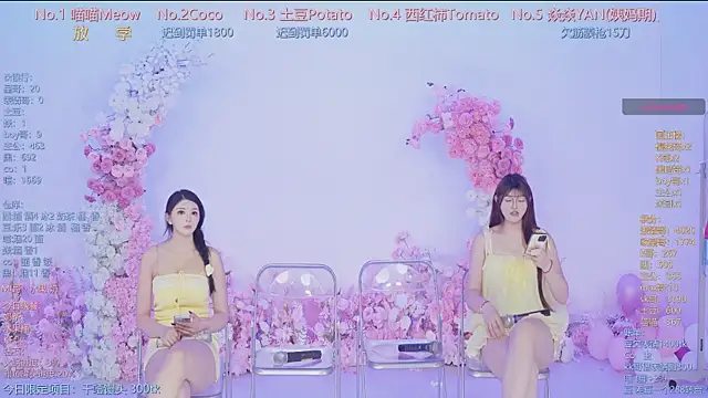 SSF-888 webcam