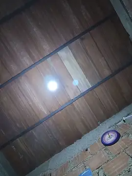 Max026_ webcam