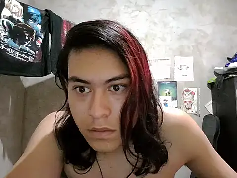 dirty_model webcam