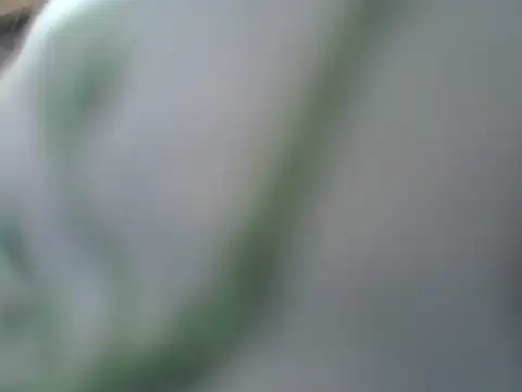 prettix webcam