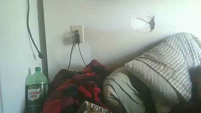 dandonn webcam