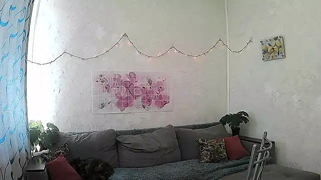 ValleriWind webcam