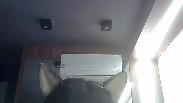 SkinnyKitten webcam