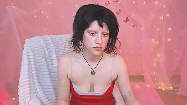 LidaDarknet webcam
