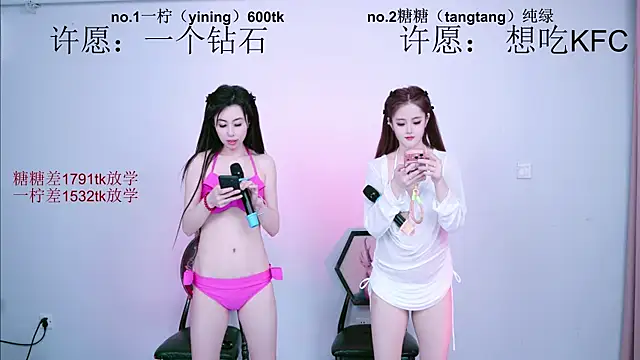 CCTW-100 webcam