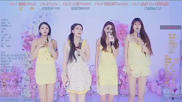 SSF-888 webcam