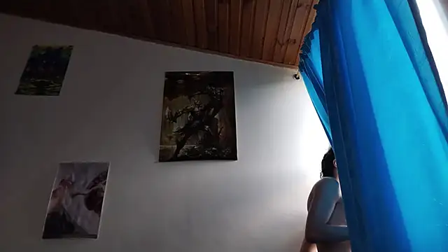 PaulDamico webcam