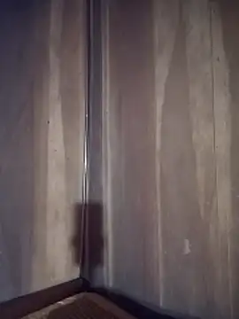 toyo_668 webcam