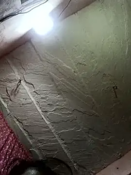 Deepjakolirr webcam