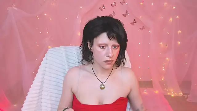 LidaDarknet webcam