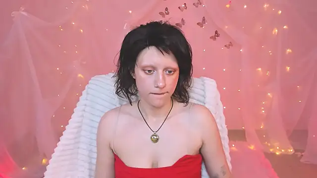 LidaDarknet webcam