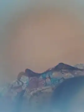 kirti-sharma webcam
