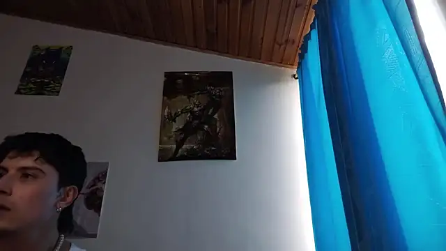 PaulDamico webcam