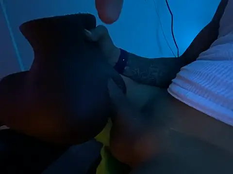 hpcouplee420 webcam