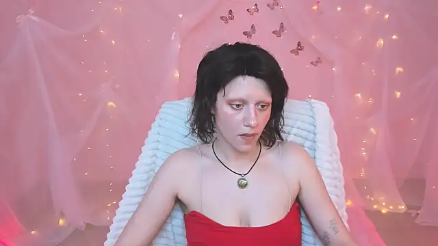 LidaDarknet webcam