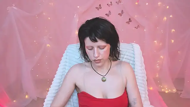 LidaDarknet webcam