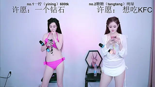 CCTW-100 webcam