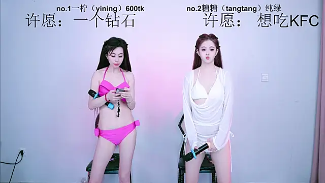 CCTW-100 webcam