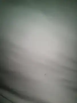 dalou3a22 webcam