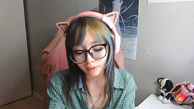 SaxonDibs webcam