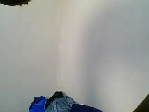 berry_machine webcam