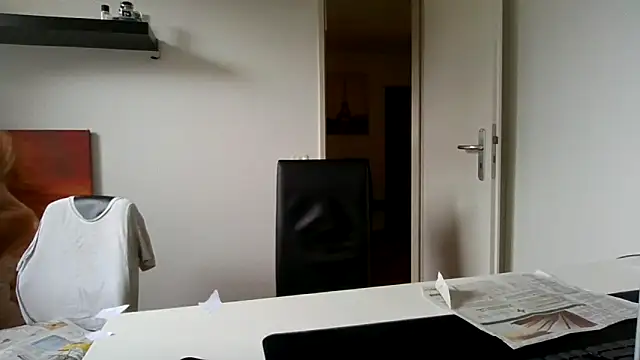 alpha-hunk webcam