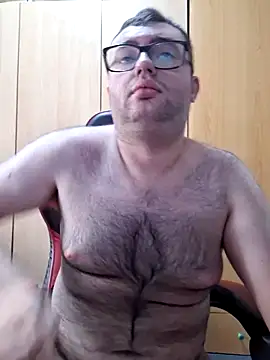 Javier_bear webcam