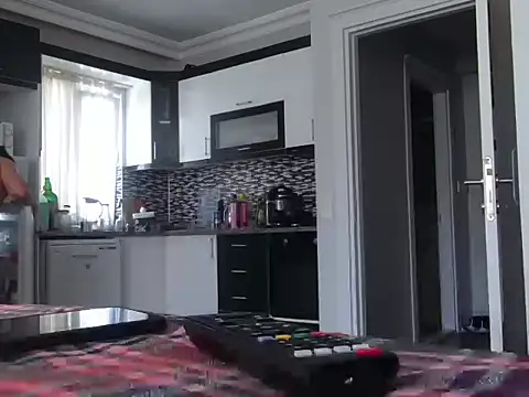 ALPHANDRE webcam