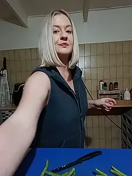 Vintasia webcam