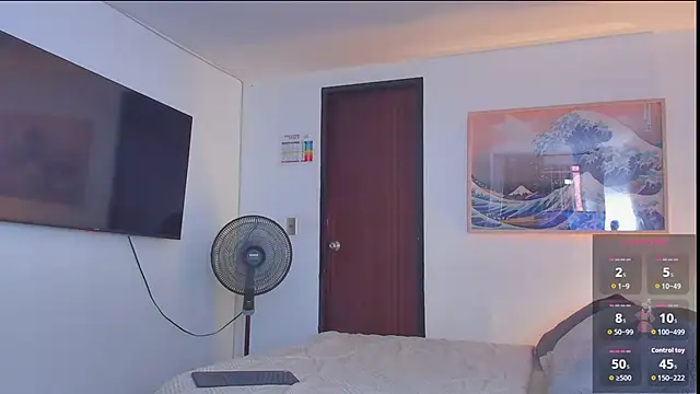 RJBarto webcam