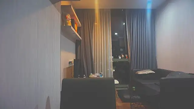 Ruler9755 webcam