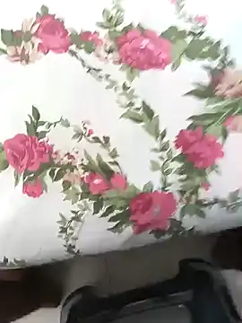 montiboy webcam