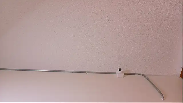 eva_daemon webcam