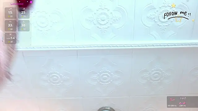 aria_li webcam