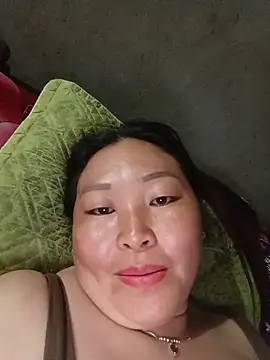 mptan73 webcam