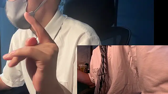 swonpark webcam