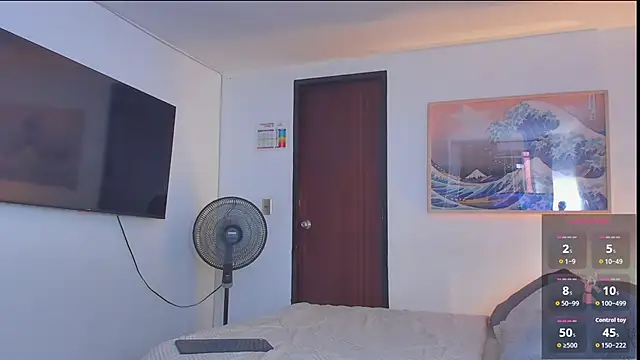 RJBarto webcam
