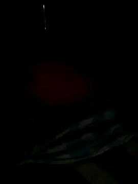 Lusted_boy webcam