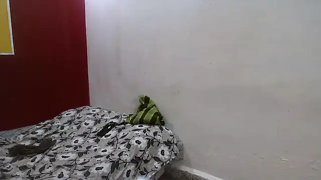 perfect-couple25 webcam