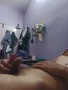 Halfbloodstud webcam