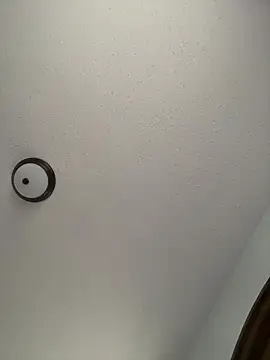 ebonyred webcam