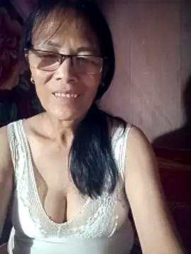 toyo_668 webcam