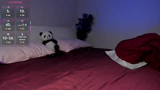 missinfull webcam