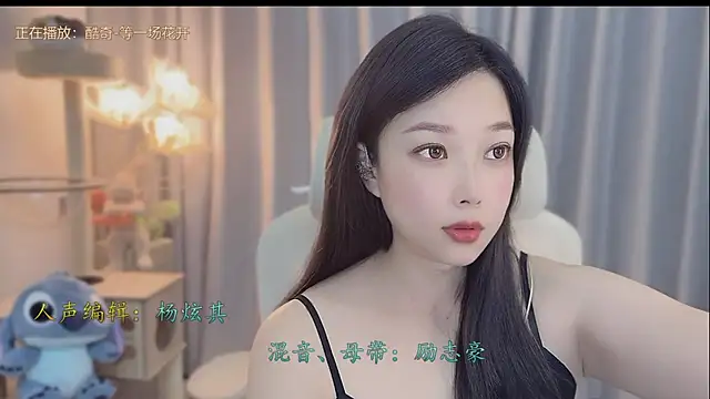 facai-feifei webcam