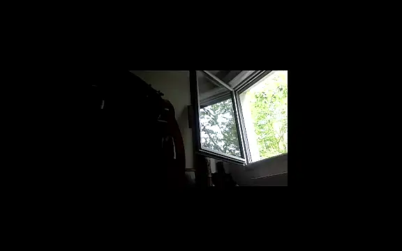 Guiltee webcam