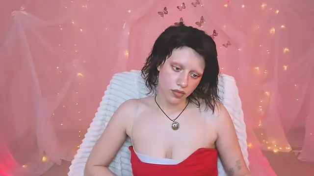 LidaDarknet webcam