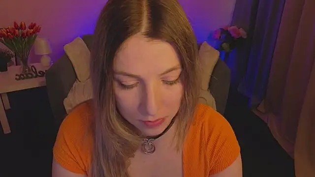 evafolver webcam